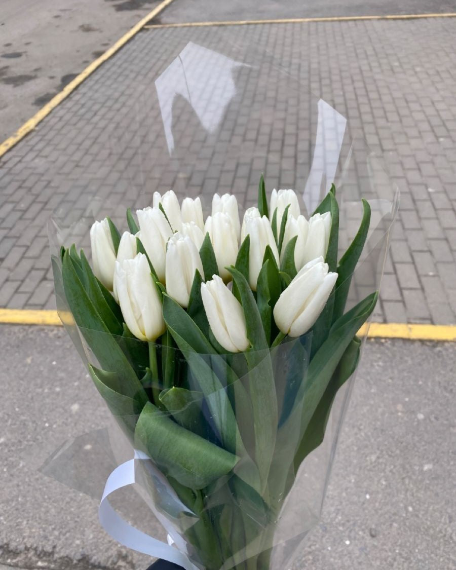 Tulipani